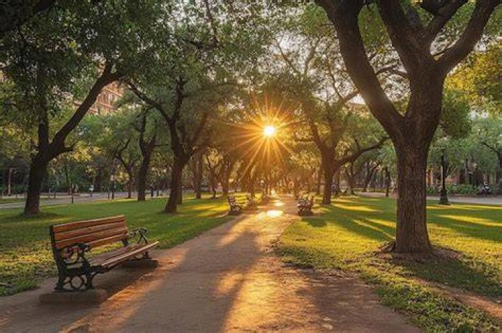 Discovering Queen Park: A Comprehensive Guide to One of the Most Serene Parks
