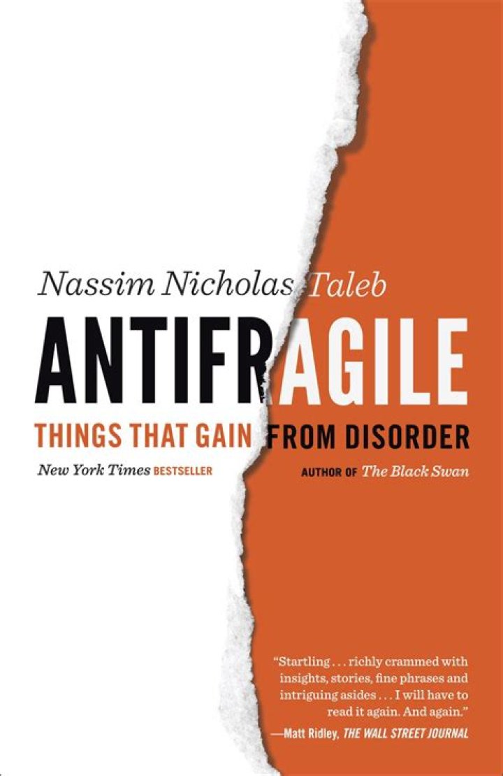 Nassim Nicholas Taleb: Understanding the Mind Behind Anti-Fragility