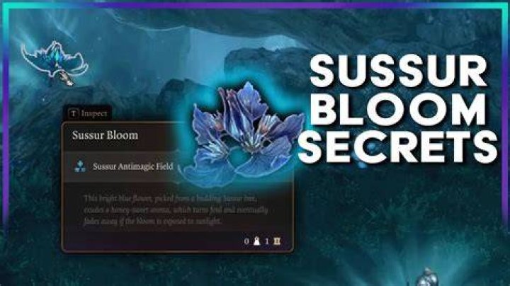 Sussur Bloom: Exploring the Fascinating World of Nature's Hidden Beauty