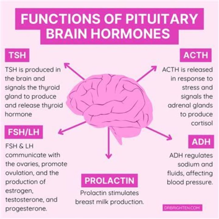 Understanding ATPL Brain Disease: Symptoms, Causes, and Treatment
