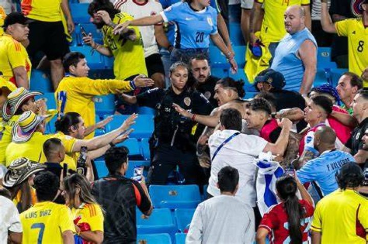 Uruguay Fighting Fans: A Deep Dive into the Passionate Community